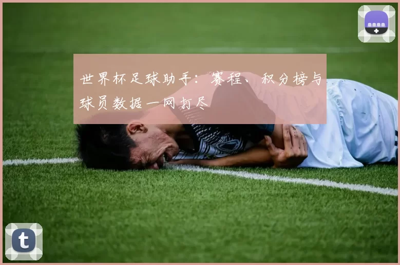 世界杯足球助手：赛程、积分榜与球员数据一网打尽