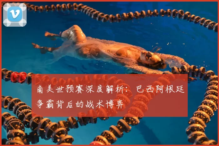 南美世预赛深度解析:巴西阿根廷争霸背后的战术博弈