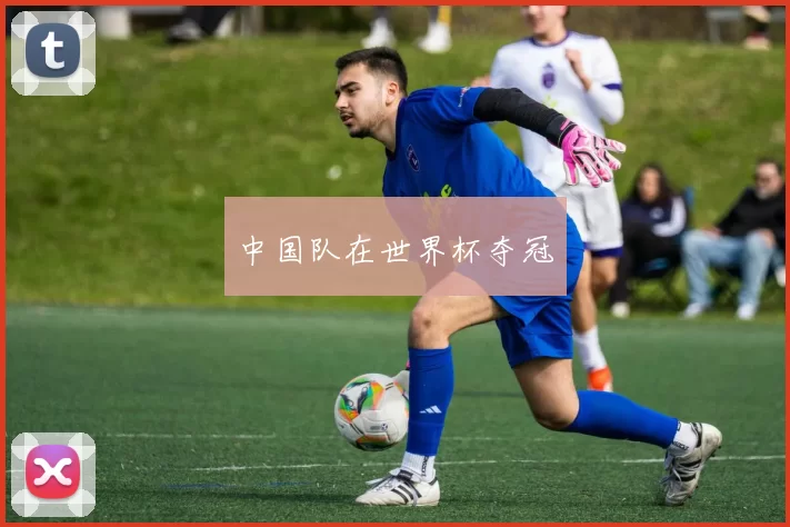 中国队在世界杯夺冠
