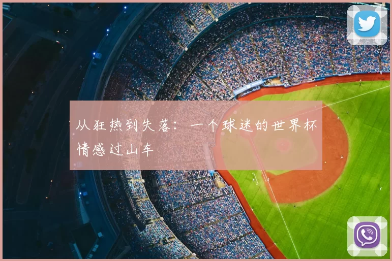 从狂热到失落:一个球迷的世界杯情感过山车