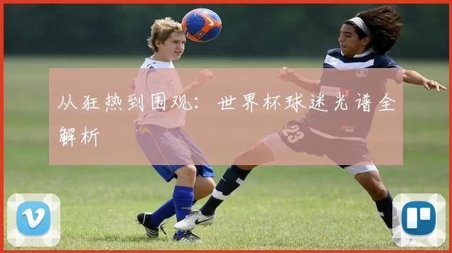 从狂热到围观:世界杯球迷光谱全解析
