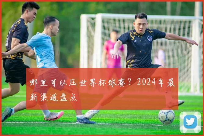 哪里可以压世界杯球赛？2024年最新渠道盘点