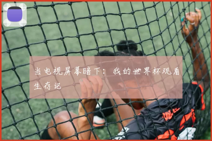 当电视屏幕暗下：我的世界杯观看生存记