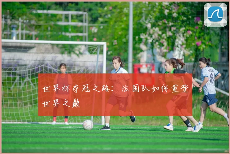 世界杯夺冠之路：法国队如何重登世界之巅