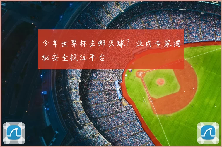 今年世界杯去哪买球?业内专家揭秘安全投注平台