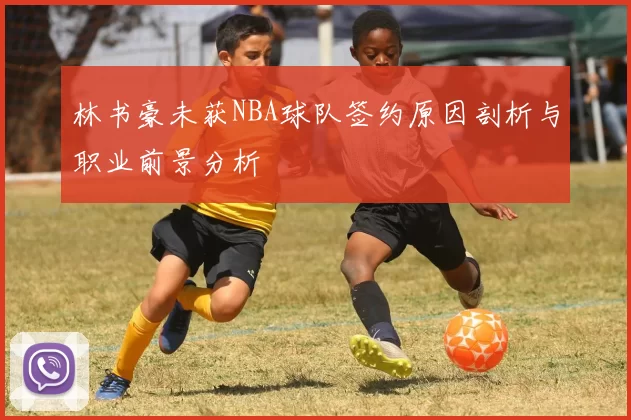 林书豪未获NBA球队签约原因剖析与职业前景分析