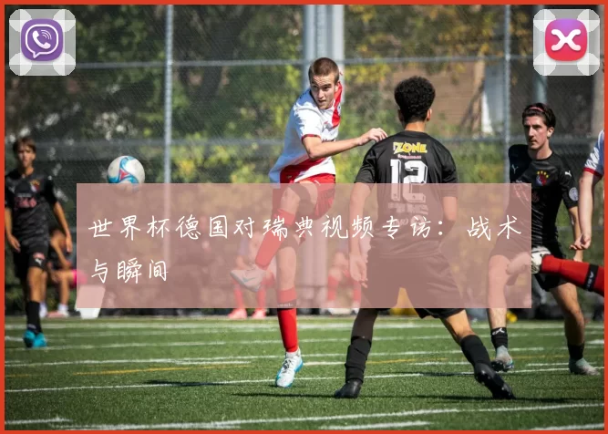 世界杯德国对瑞典视频专访：战术与瞬间