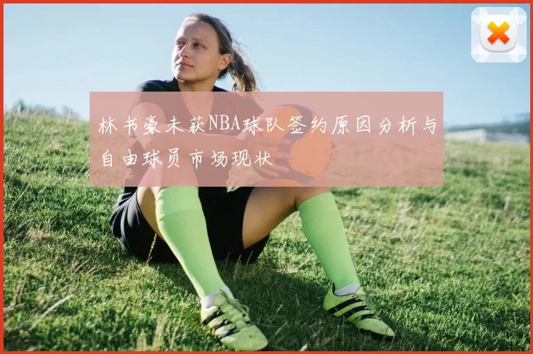 林书豪未获NBA球队签约原因分析与自由球员市场现状