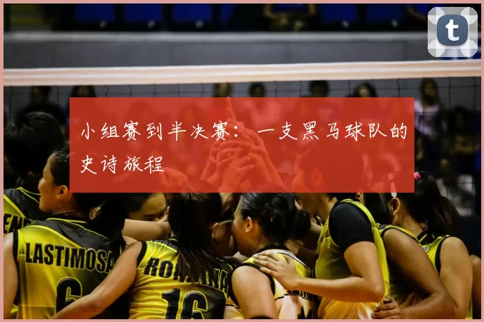 小组赛到半决赛：一支黑马球队的史诗旅程