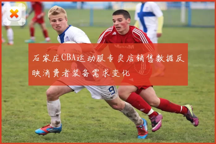 石家庄CBA运动服专卖店销售数据反映消费者装备需求变化