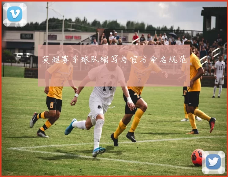 英超赛季球队缩写与官方命名规范