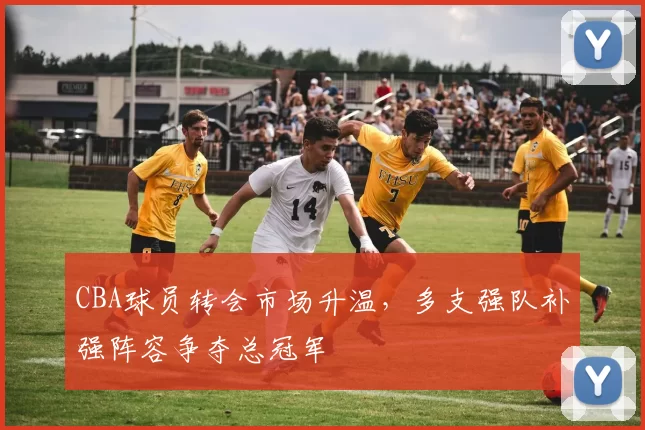 CBA球员转会市场升温，多支强队补强阵容争夺总冠军