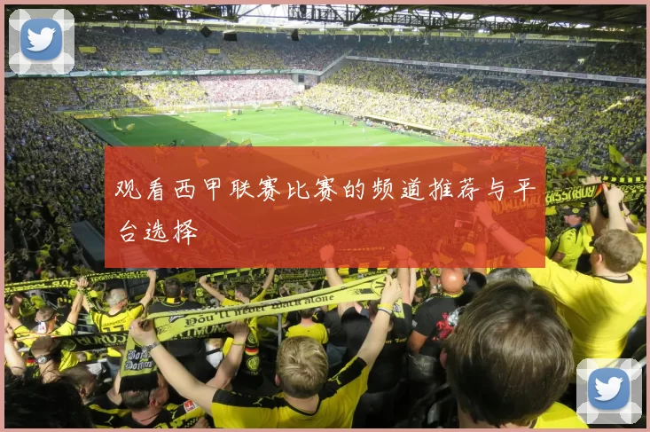 观看西甲联赛比赛的频道推荐与平台选择