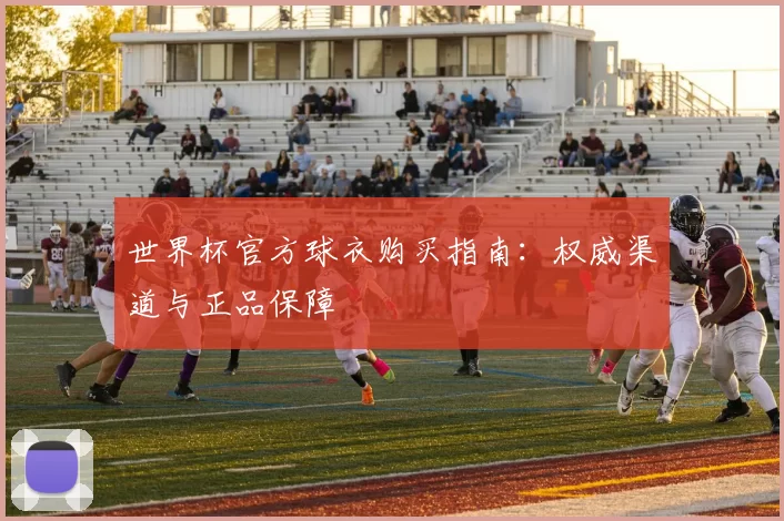 世界杯官方球衣购买指南：权威渠道与正品保障