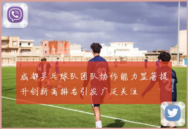 成都乒乓球队团队协作能力显著提升创新高排名引发广泛关注
