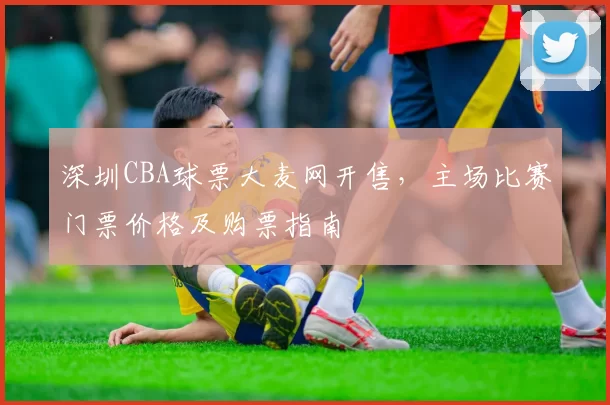 深圳CBA球票大麦网开售，主场比赛门票价格及购票指南